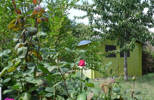 Beaumont-en-Veron House | 19th century cottage in a quiet and authentic location - 3 stars restored in 2017