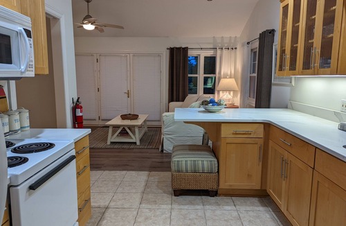 Saugatuck Condo | 1BR; 1 Bath Lakefront Apt; Dog-friendly! 1 Block from Downtown Saugatuck!