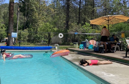 Big Bar Cabin | 1BR/1BA Trinity River Cabin - Salmon - w/Small Loft