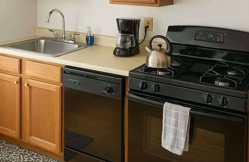 North Center Apartment | 1BR Apartment in Chicago