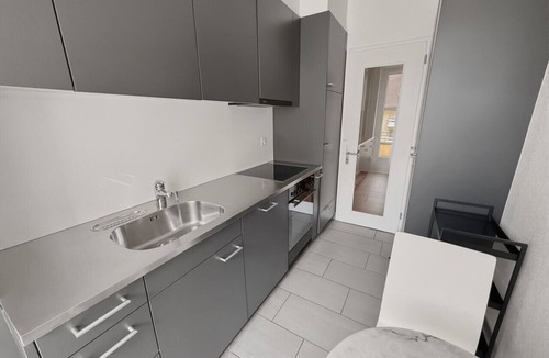 Muhlebach Apartment | 1BR - great starting point for tourists - Mill 324