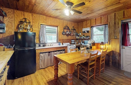 Bronson Cabin | 1BR Riverfront w/Views, Canoe, Grill & Fire Pit