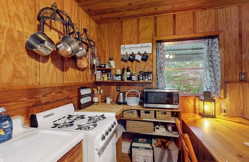 Bronson Cabin | 1BR Riverfront w/Views, Canoe, Grill & Fire Pit