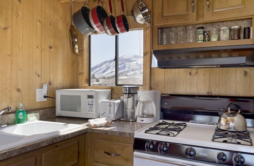 Mammoth Lakes Cabin | - 1BR tiny home—best for 2–4 guests, pet-friendly, mountain views