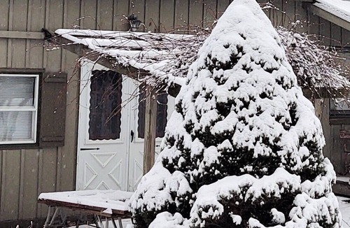 Aldenville Apartment | 1st Floor Suite, Kitchenette (B)