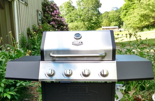 Aldenville Apartment | 1st Floor Suite, Kitchenette (B)