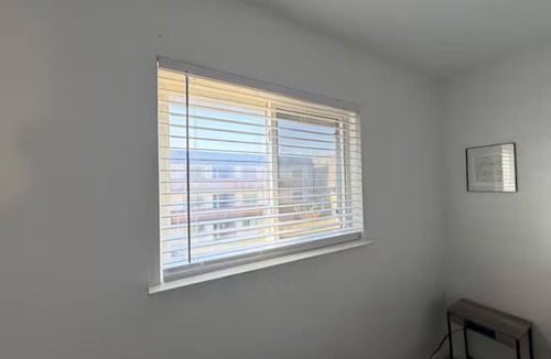 West Campus Apartment | 1x1 Apt Right by Pease Park