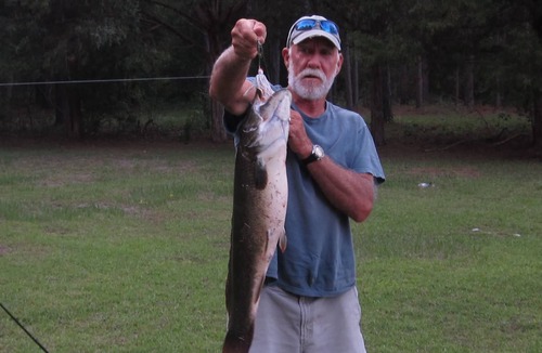 Donalsonville House | 2 acre Waterfront cottage!!!