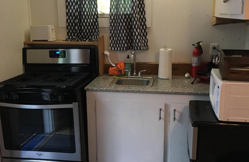 Trumansburg Cabin | 2 bed, 1 bath lake property!