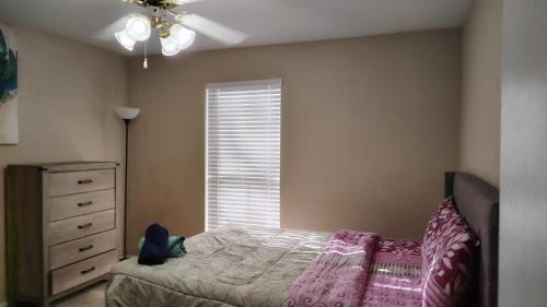 Astrodome Apartment | 2 bed 2 bath near Medical center