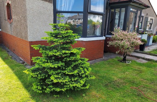 Bare Apartment | 2 bed Apartment 5min From sea in Bare Morecombe