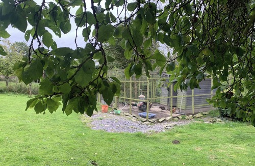 Denbigh Cabin | 2-bed Cabin Sleeps 4 -small Pets Ok -free Parking