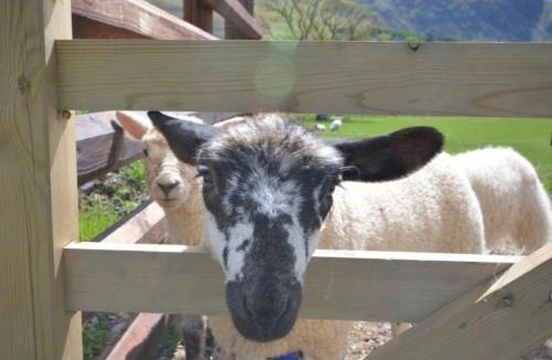 Gamblesby House | 2 Bed in Gamblesby 90415