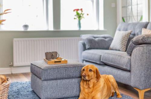 Rothbury House | 2 Bed in Rothbury 87902