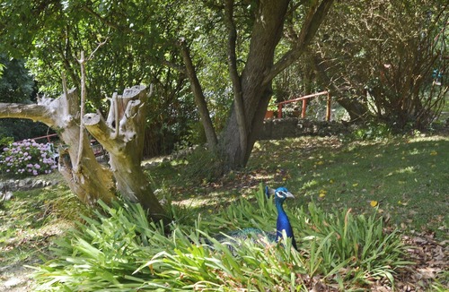 St. Gennys Cottage | 2 bedroom accommodation in Crackington Haven