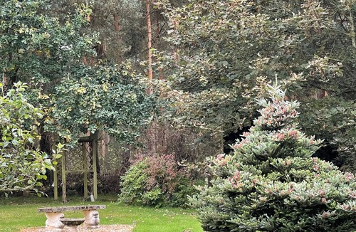 Balloch Cottage | 2 bedroom accommodation in Loch Flemington