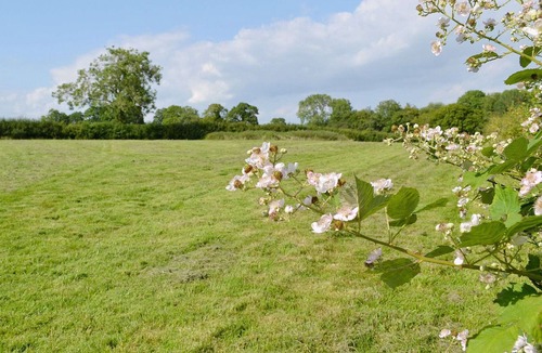 Sheffield Green Cottage | 2 bedroom accommodation in Sheffield Park