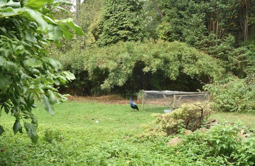 Crowborough Cottage | 2 bedroom accommodation in Crowborough