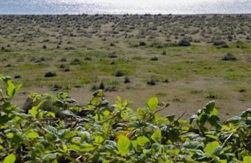 Kessingland Cottage | 2 bedroom accommodation in Kessingland