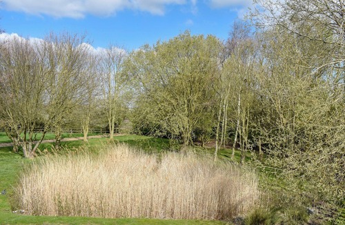 Chittering Cottage | 2 bedroom accommodation in Chittering