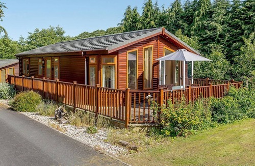Widemouth Bay Cabin | 2 bedroom accommodation in Holsworthy