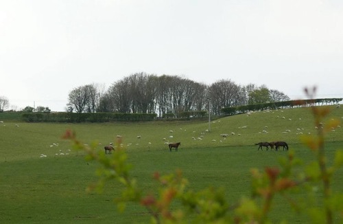 Crewkerne House | 2 bedroom accommodation in Crewkerne