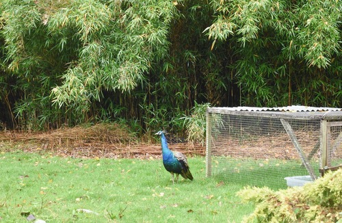 Crowborough Cottage | 2 bedroom accommodation in Crowborough