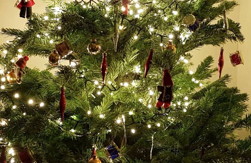 Lavenham Cabin | 2 bedroom accommodation in Lavenham