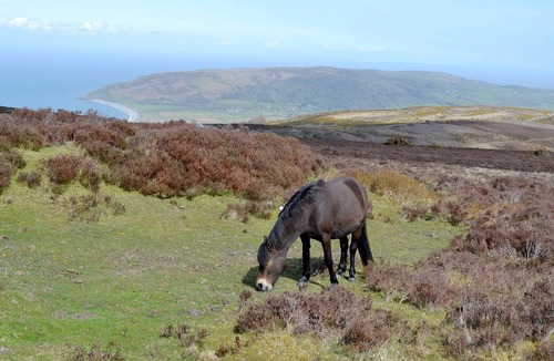 Alcombe Cottage | 2 bedroom accommodation in Minehead