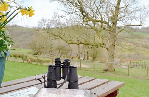 Penybont Cottage | 2 bedroom accommodation in Penybont