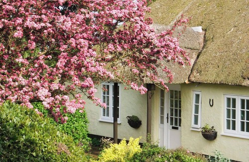 Otterton Cottage | 2 bedroom accommodation in Otterton