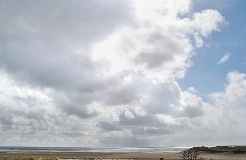 South Charlton Cottage | 2 bedroom accommodation in Alnwick