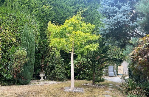 Sedlescombe Cottage | 2 bedroom accommodation in Battle