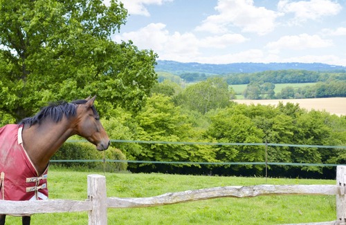 Burwash Cottage | 2 bedroom accommodation in Burwash