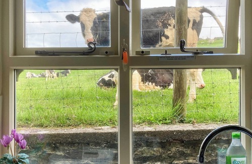 Austwick Cottage | 2 bedroom accommodation in Austwick, near Settle