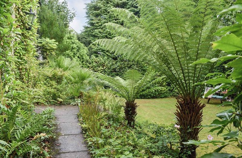 Veryan Cottage | 2 bedroom accommodation in Veryan