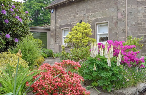 Perth Cottage | 2 bedroom accommodation in Perth