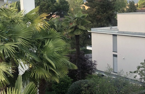 Ascona Apartment | 2 Bedroom Apartment in Ascona