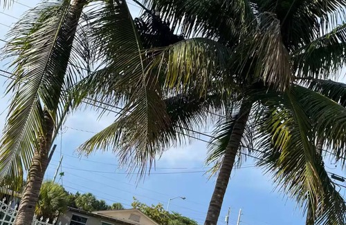 Seybold House | 2-bedroom house Just renovated in Miami