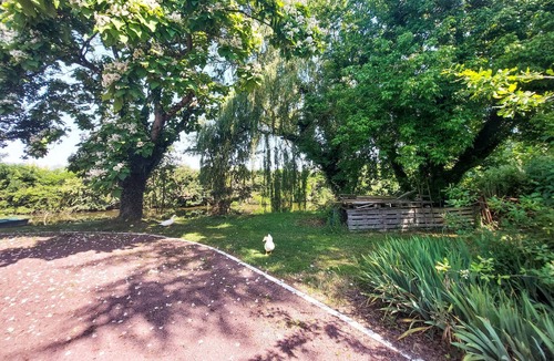Allonnes House | 2 bedroom nice home in Allonnes
