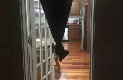 Niskayuna Apartment | 2 bedroom suite with free parking