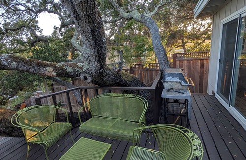 Belmont Cottage | 2 Bedroom Treehouse Cottage
