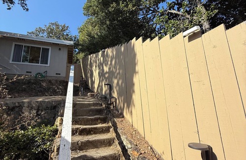 Belmont Cottage | 2 Bedroom Treehouse Cottage