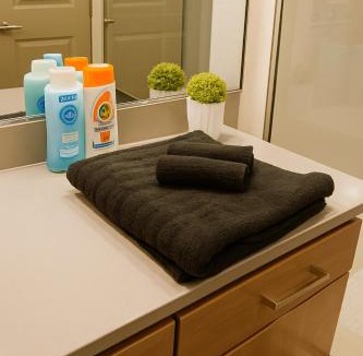Phoenix Villa | 2 Bedroom Villa, Dog Park, Lake, WiFi, Laundry , Pool