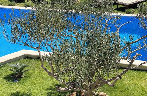 Bol Villa | 2 bedroom villa in Bol
