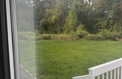 Norwalk Apartment | 2 Bedrooms Suit