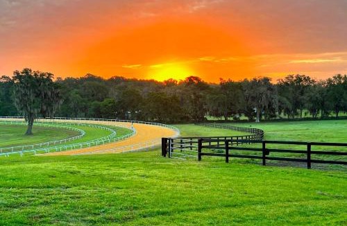 Micanopy House | 2 BR Duplex with Full Kitchen and Lake View