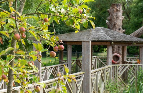Saffron Walden Cabin | 2 Cosy Cabin at 15th C Pub