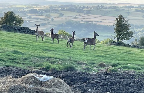Beck Hole Cottage | 2: Curlew - Barn Conversion Peaceful Location