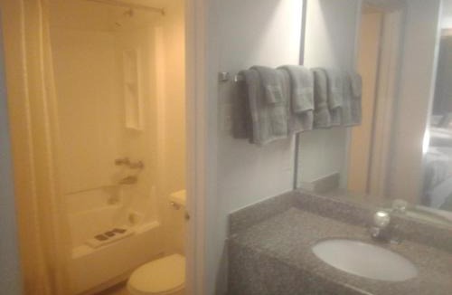 Livingston Apartment | 2 Double Beds Hotel Studio 137